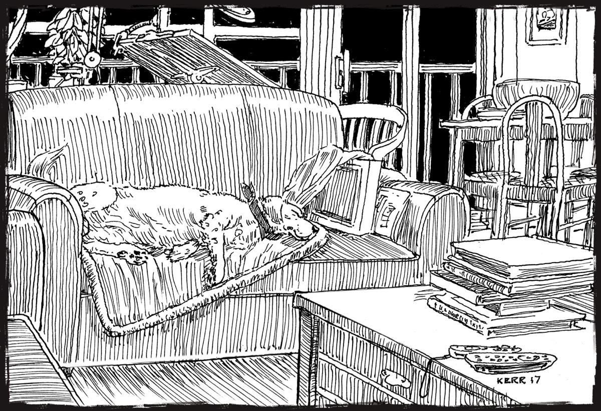 Whiskey Sleeping • Sketchbook