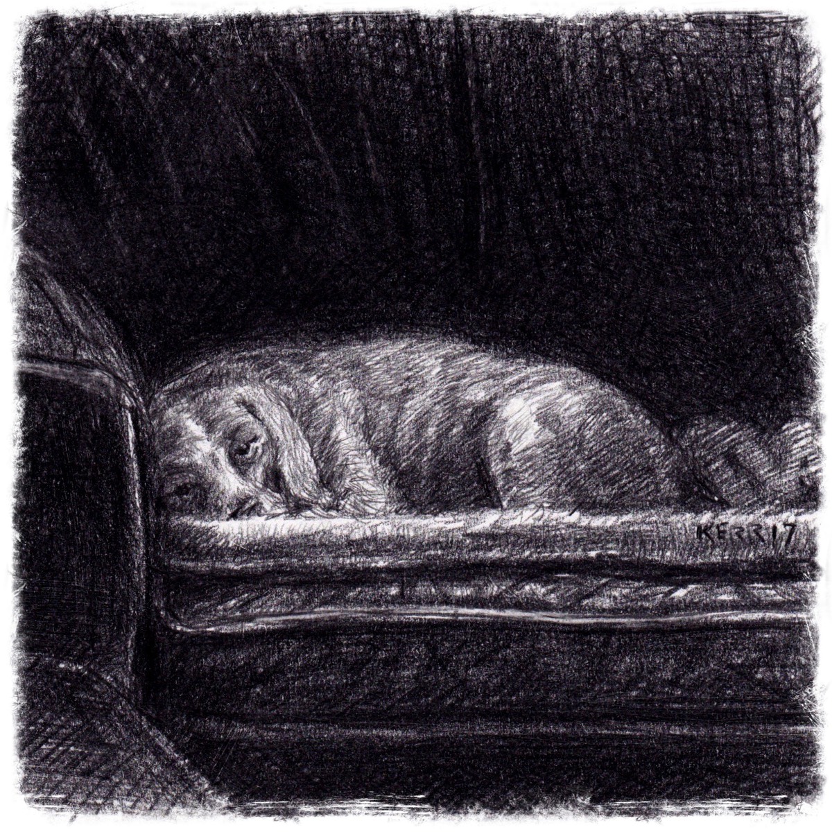 Whiskey Sleeping • Sketchbook