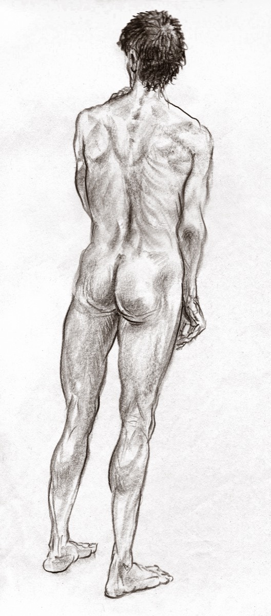 Study of Male • Compressed Charcoal